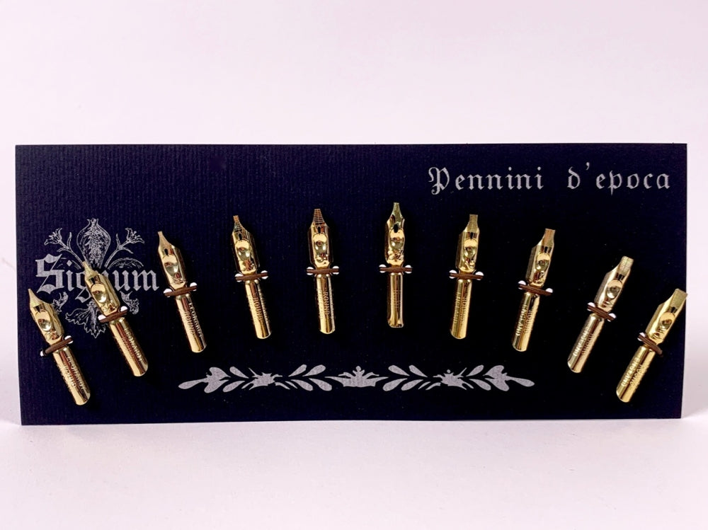 Set von 10 Schreibfedern Kalligraphie mit Geschenkkarton
